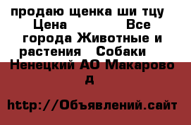 продаю щенка ши-тцу › Цена ­ 10 000 - Все города Животные и растения » Собаки   . Ненецкий АО,Макарово д.